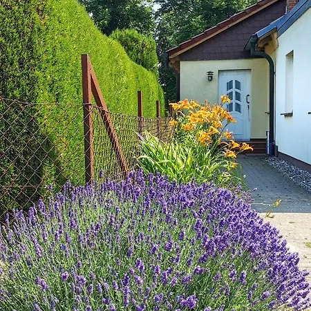 Fewo Albrecht In Metschow Borrentin Buitenkant foto
